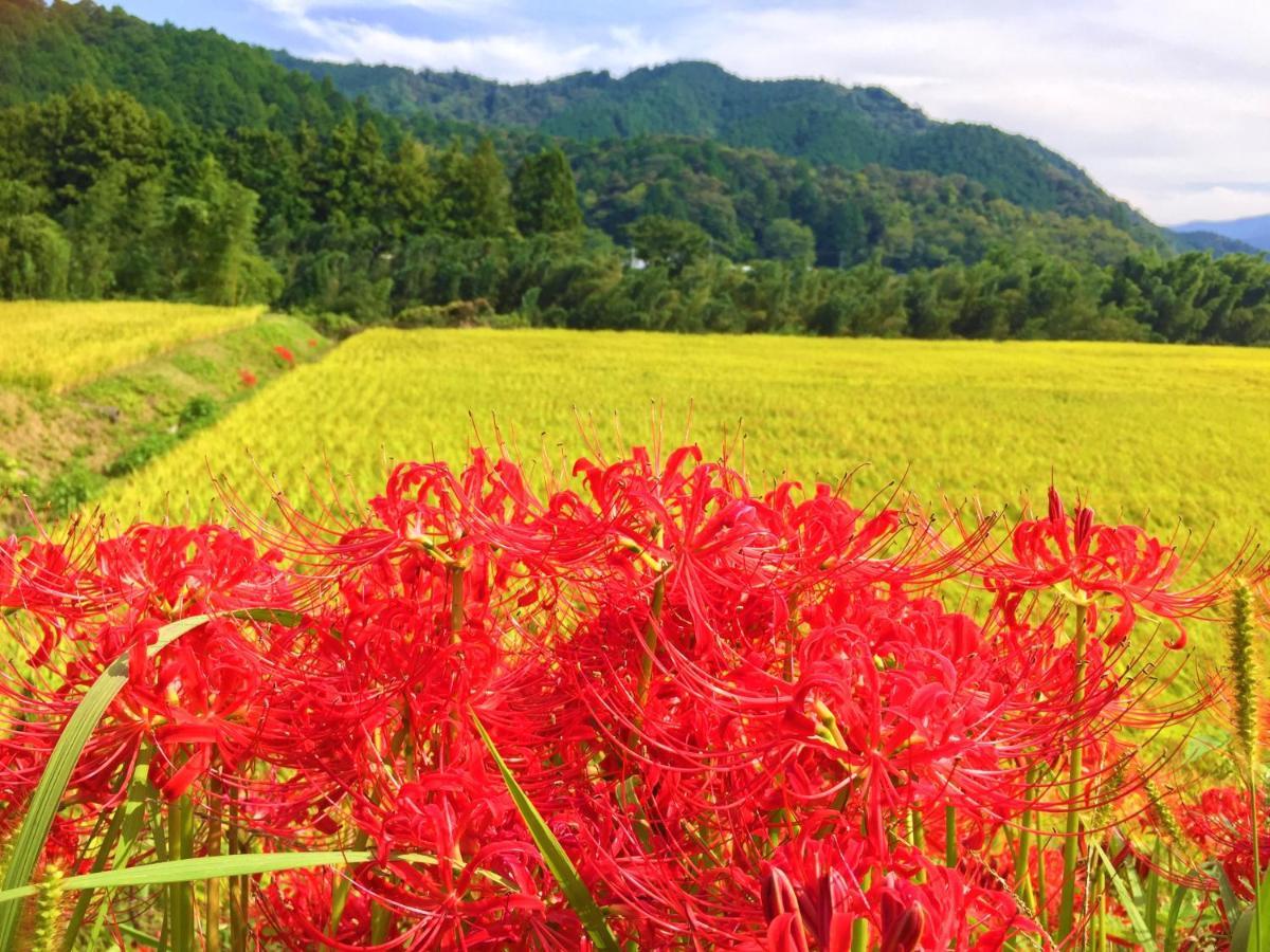 Nature Resort In Shimanto Funato  Buitenkant foto